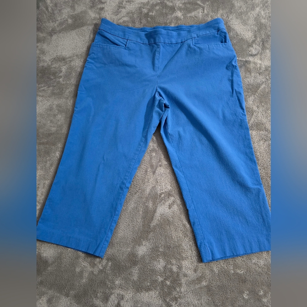SOLD Blue Capri Pants